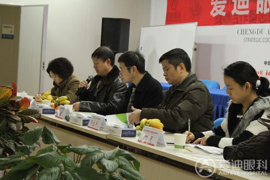 爱迪眼库审查现场